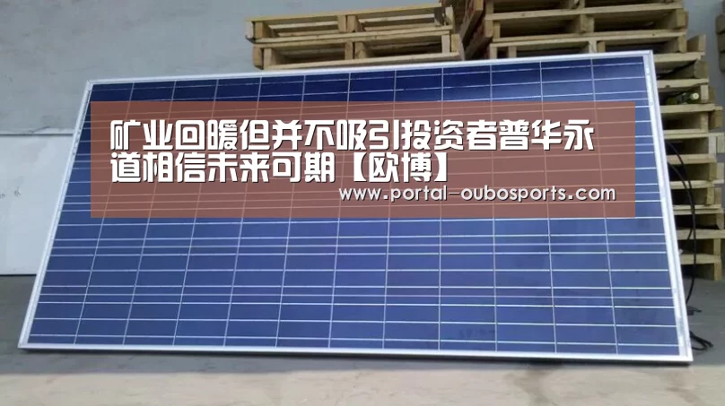矿业回暖但并不吸引投资者普华永道相信未来可期【欧博】(图2) 欧博官网