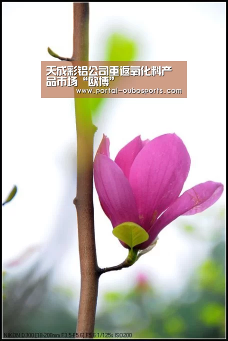 天成彩铝公司重返氧化料产品市场“欧博”(图1) 欧博游戏
