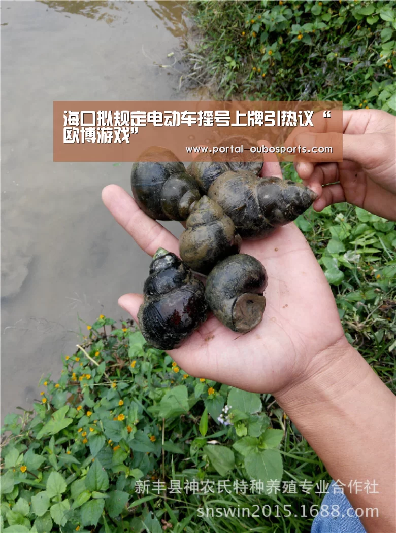欧博官网