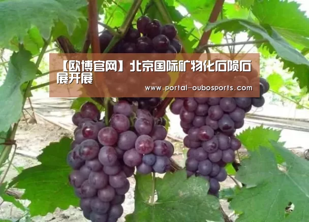 欧博